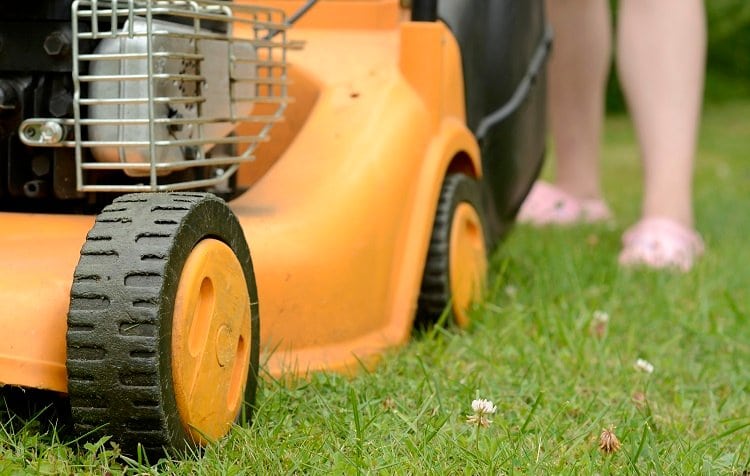 Best lawn mowers under 300