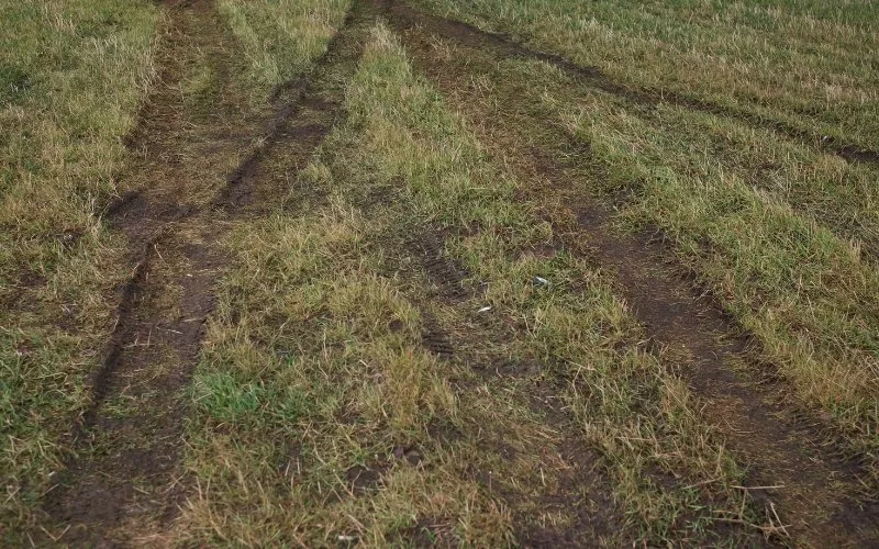 Why You Need to Fix Tire Ruts in Lawn