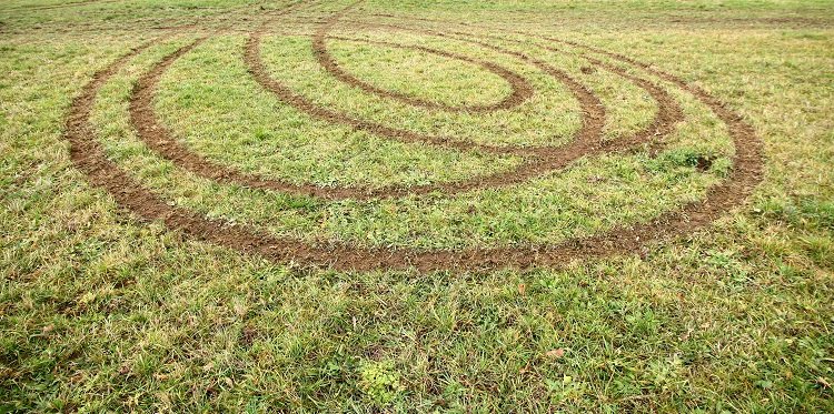 lawn mower wheel marks in grass