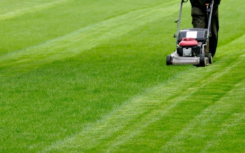 Lawn Mowing Patterns and Techniques