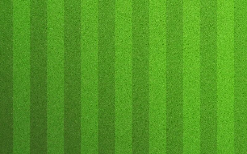 lawn stripes