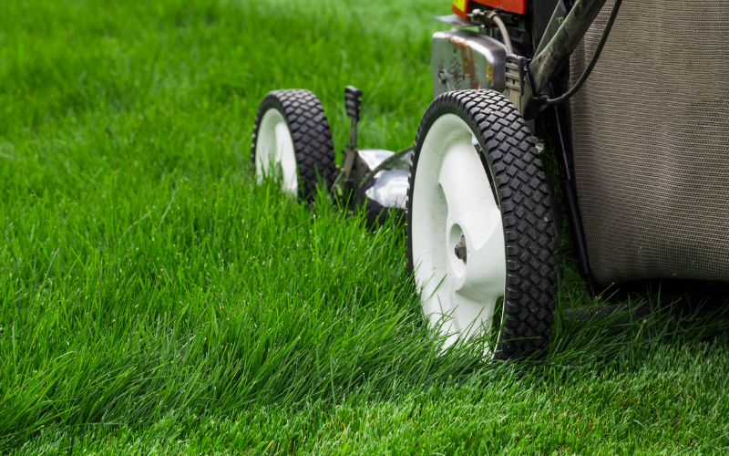 Factors Affecting Mower Cutting Height for Mulching Leaves