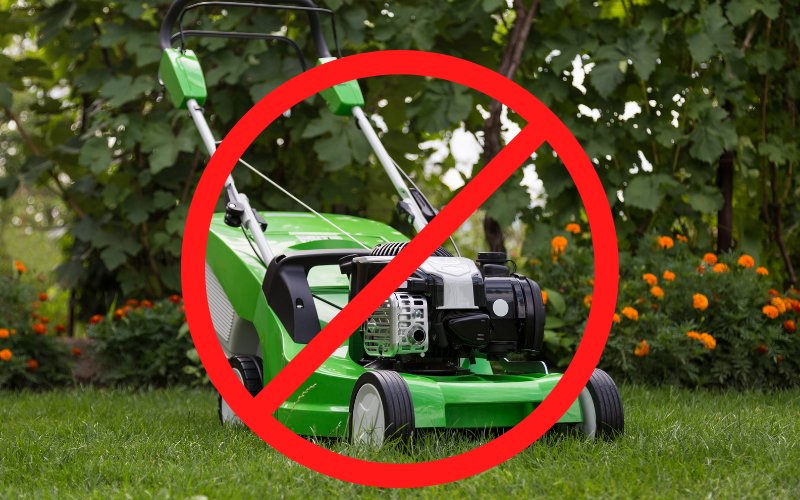 How to Cut Grass Without a Lawn Mower