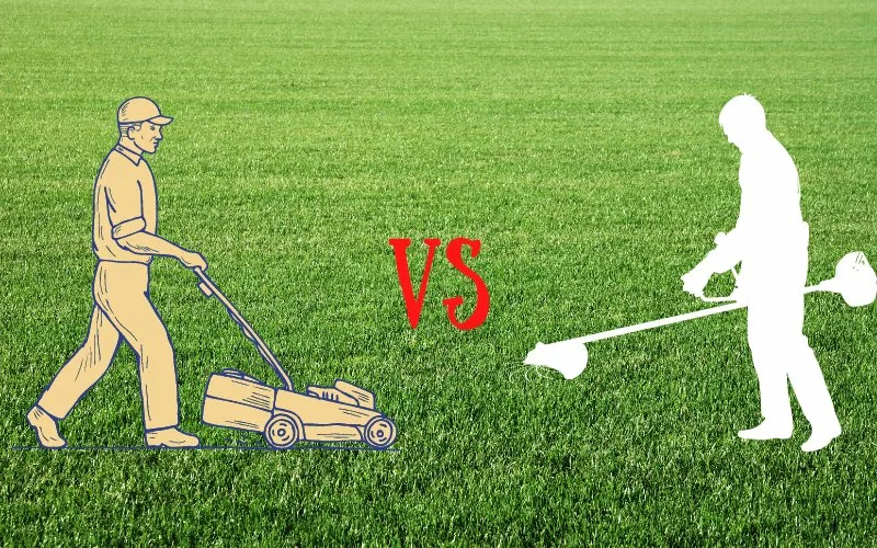 Lawn Mower vs String Trimmer