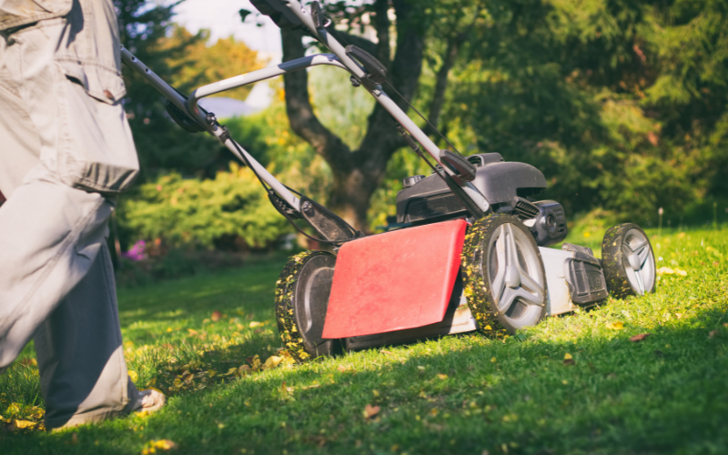 Mulching Leaves with a Lawn Mower - tips and tricks