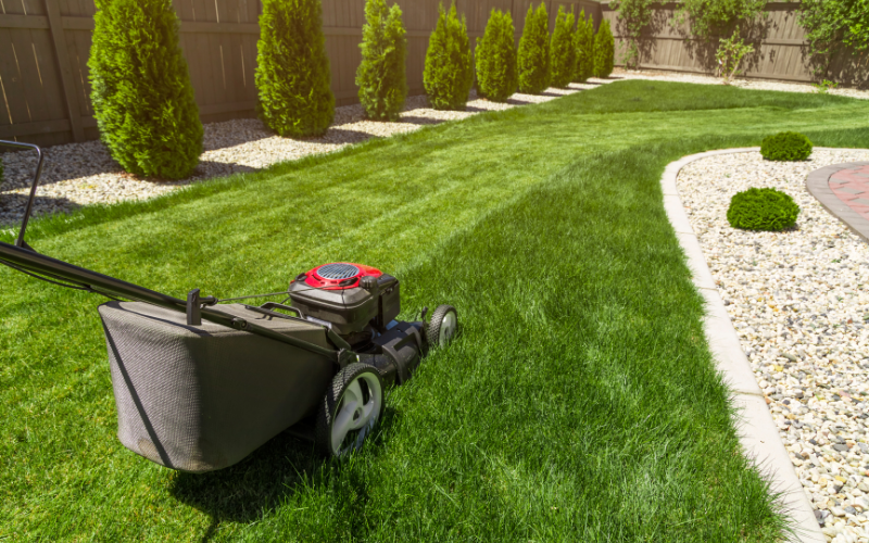 Push Mower Vs Self Propelled