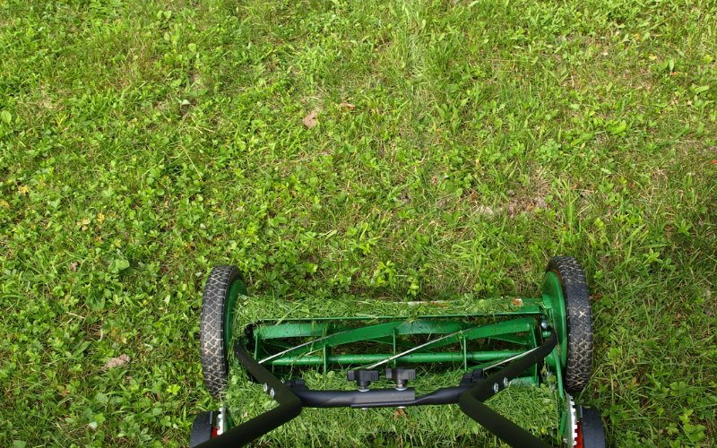 Reel Push Lawn Mower