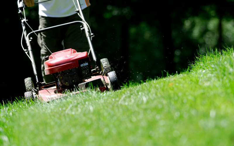 self propelled mower for hills