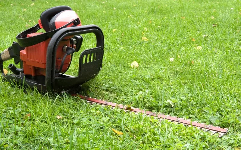 use hedge trimmer to cut grass