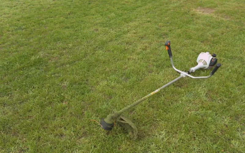 use string trimmer to cut grass