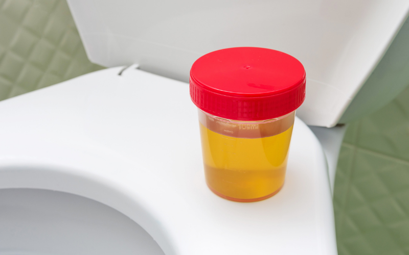 Can Human Urine Kill Grass and Weeds