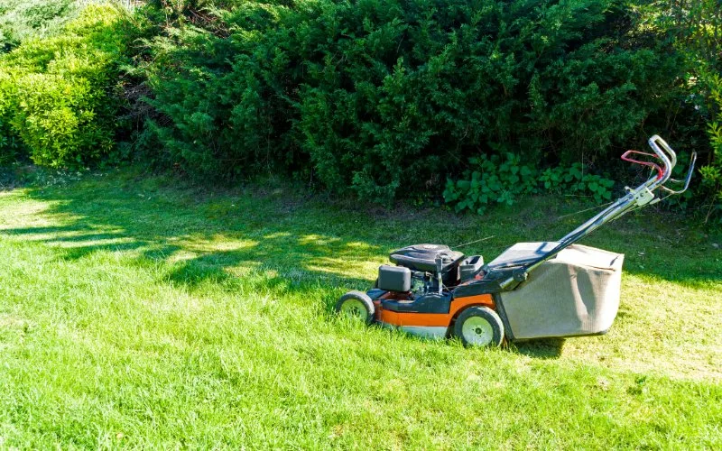 Pros and Cons of Self Propel Lawn Mowers