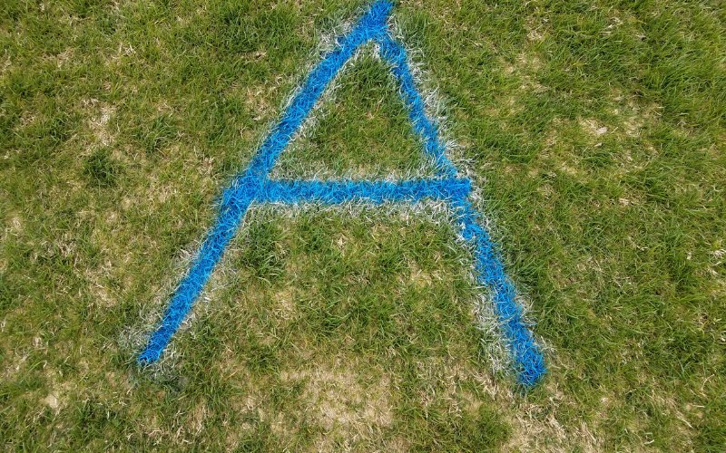 What Does Spray Paint Do to a Lawn