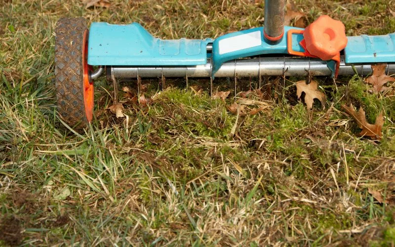 What to Do After Aerating Your Lawn Grass