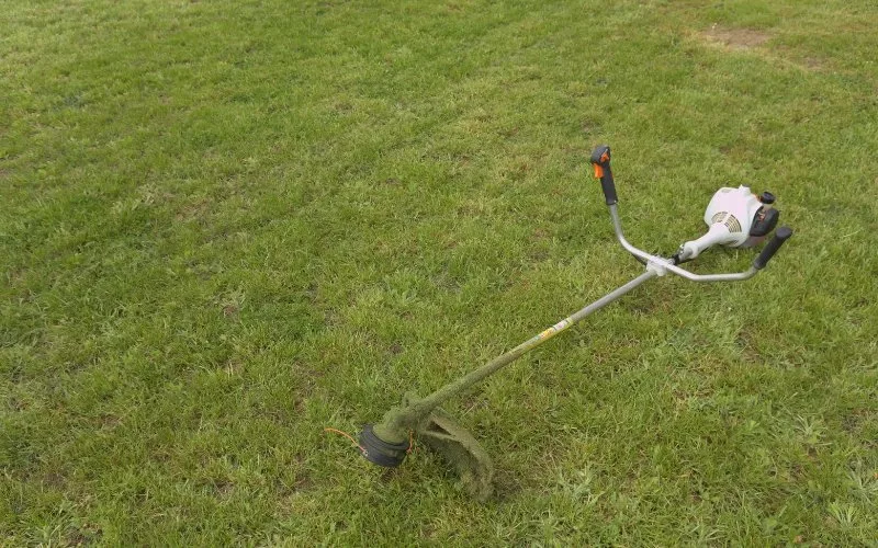 Edging Lawn with Lawn Shears