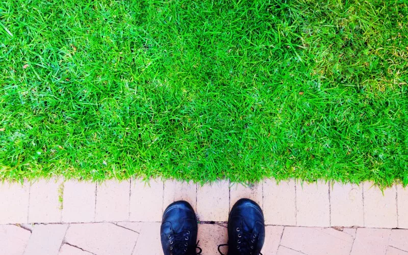 How to Edge a Lawn without Edger