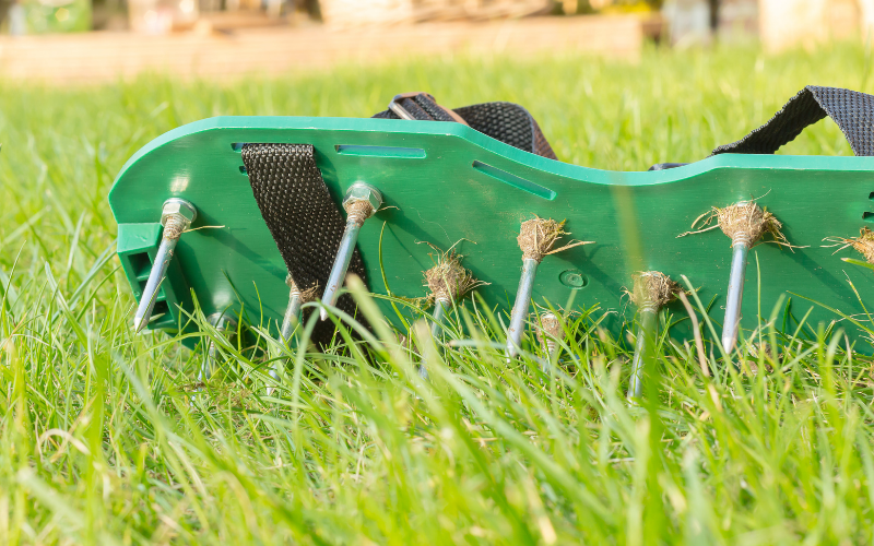 Does Lawn Aerator Shoes Really Work? (My Experience)