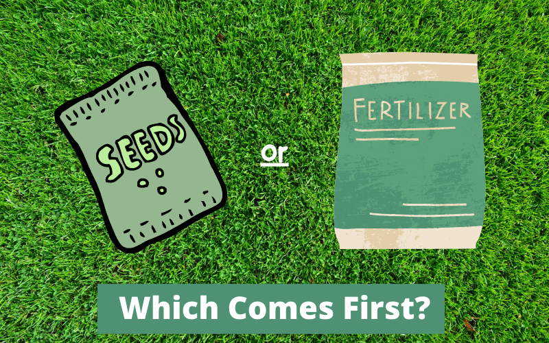 Fertilize or Overseed First? (Good Question)