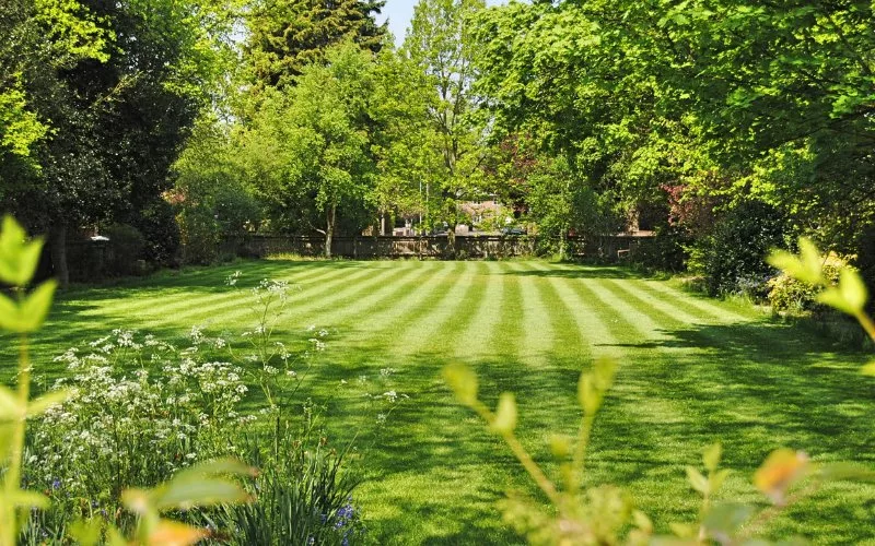 How to Stripe Lawn Without a Roller