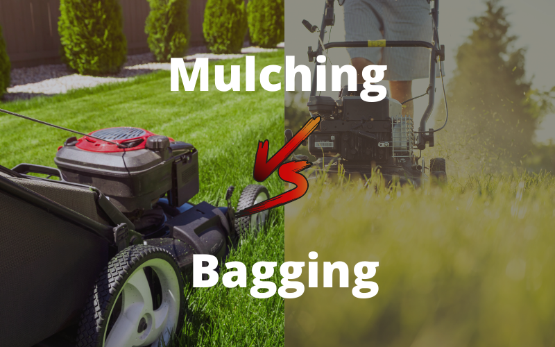 Mulching vs Bagging