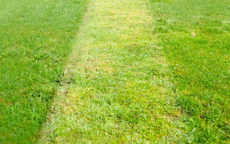 How_to_Mow_Straight_Lines_with_a_Zero_Turn