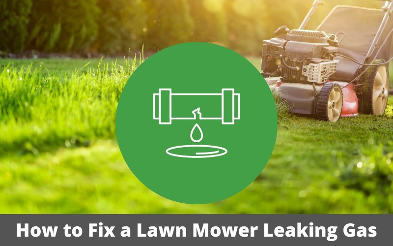 Lawn_Mower_Leaking_Gas