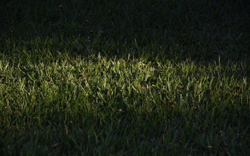 is-it-illegal-to-mow-your-lawn-at-night-fact-or-fiction