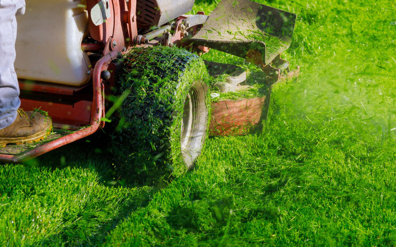 Lawn-Mower-Wheels-Flatten-Grass-(How-to-Stop-This)